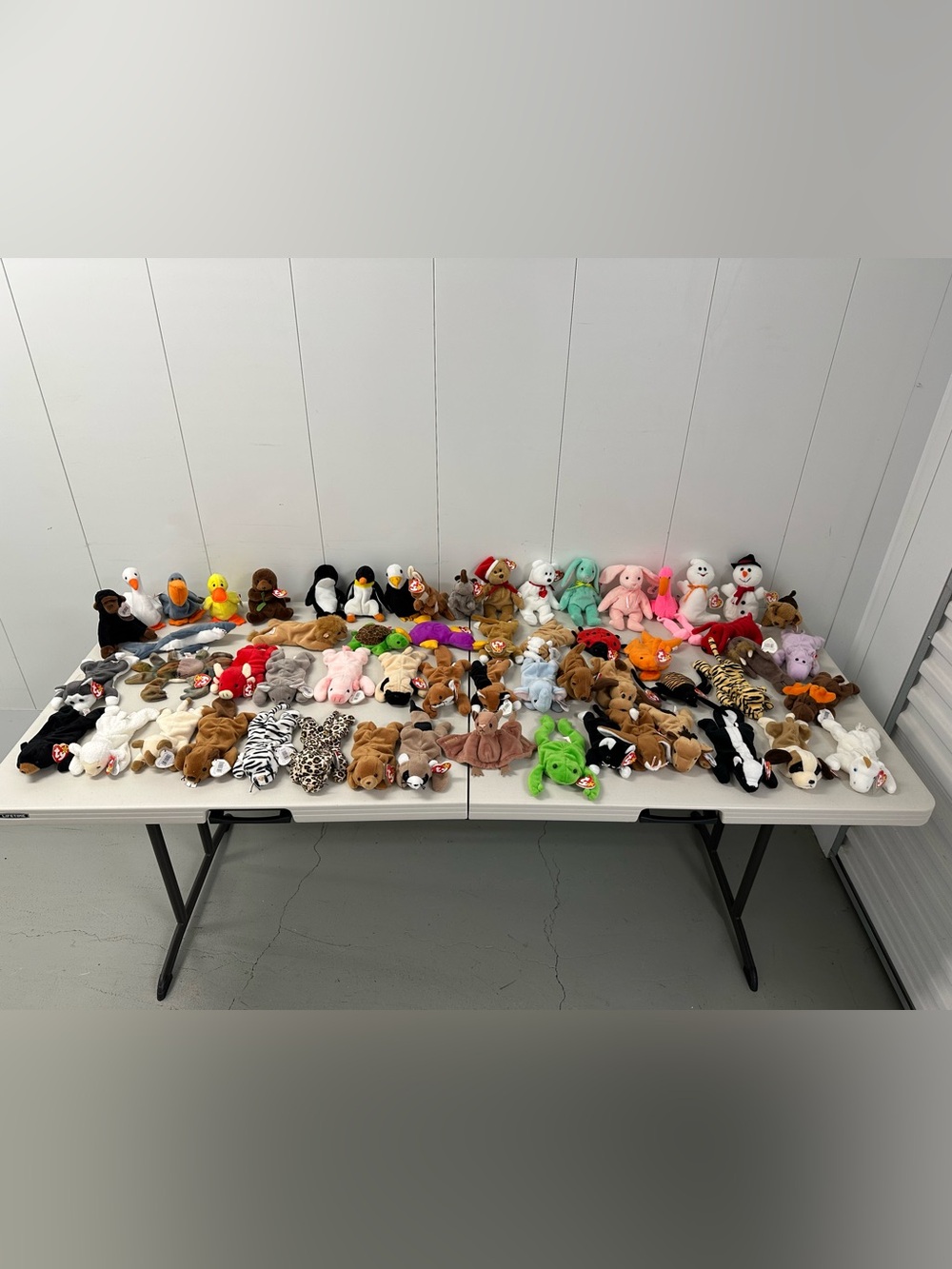 Bulk Lot of 60 TY Beanie Babies - Tags Attached